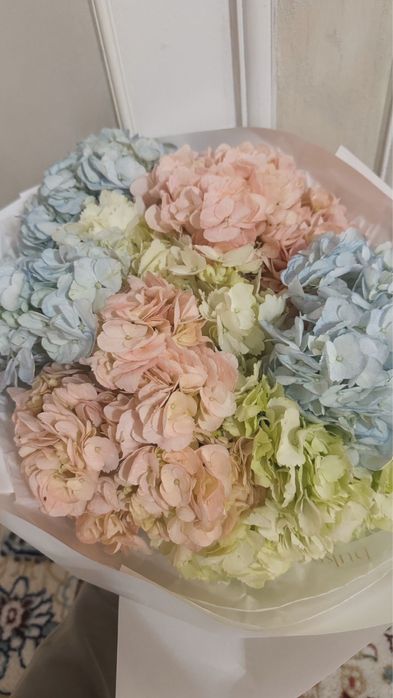 Цветы гортензий свежые