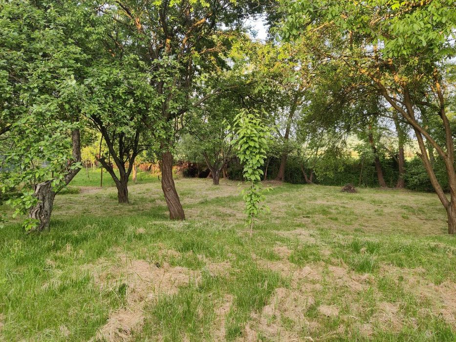 Casa de vanzare - Suseni, jud. Mureș