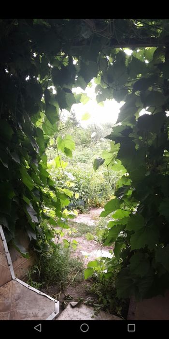 продам дачу. СО Мичуринец