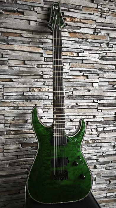 Chitara electrica ESP LTD H-1001 DeLuxe doze Fishman - Garantie