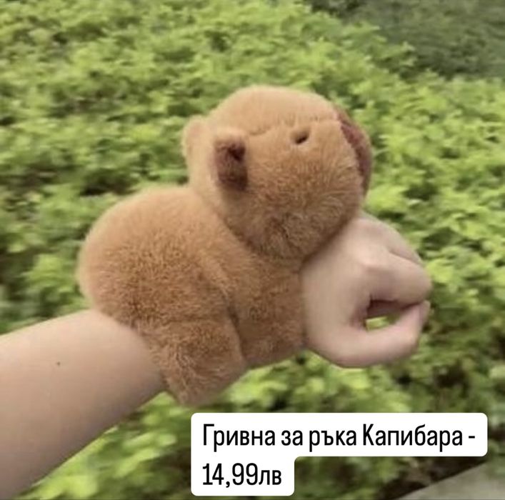 Плюшена Капибара с костенурка 25-110см, Голяма Плюшена Капибара