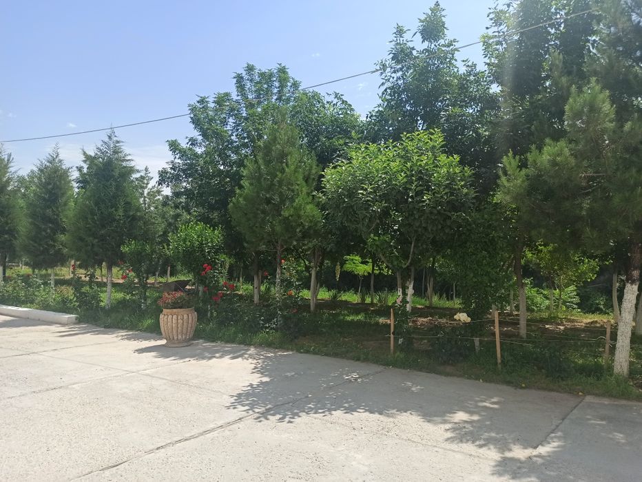 Аренда помещений