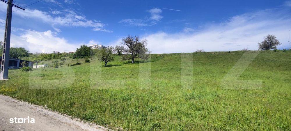 Teren Panoramic 15.500 mp – Investitie sau Dezvoltare, Zona Aleea Ma