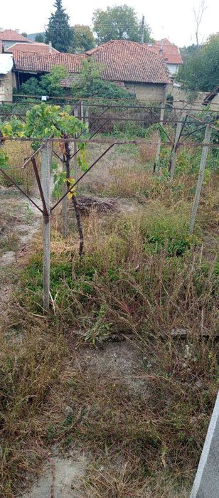 Продава се Къща в с. Ръжена, Област Стара Загора - 660 кв.м за 78 €/кв.м - Снимка #6