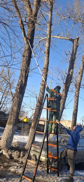 Обрезка/кронирование/ опиловка/ деревьев