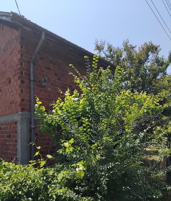 Продава се Къща в Кюстендил, Бузлуджа - 80 кв.м за 568 €/кв.м - Снимка #3