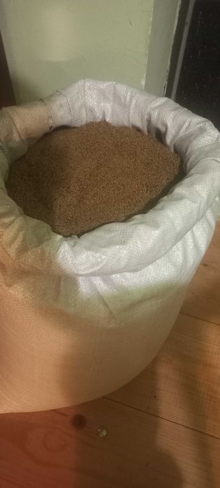 Vând sămânță de lucernă – soi înalt, producție 2025