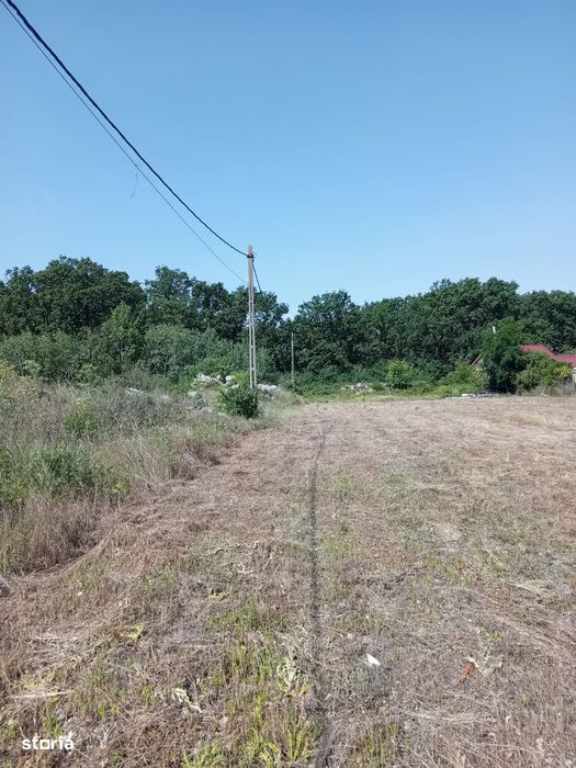 Teren Grigorescu / strada Apateului (de inchiriat / închiriat)