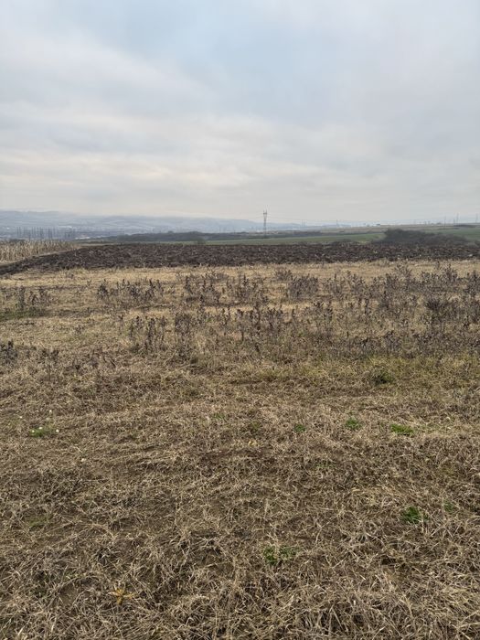 Teren Extravilan Cristur Deva Hunedoara !