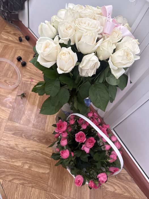 Продам цветы  состояние среднее
