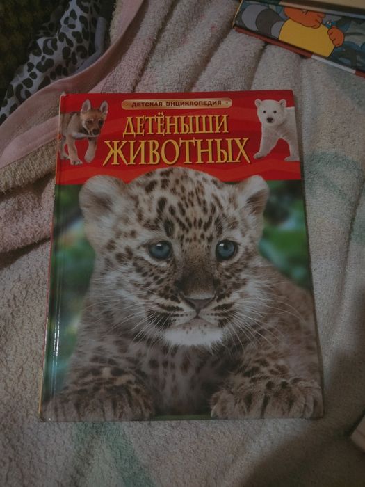 книги для малышей