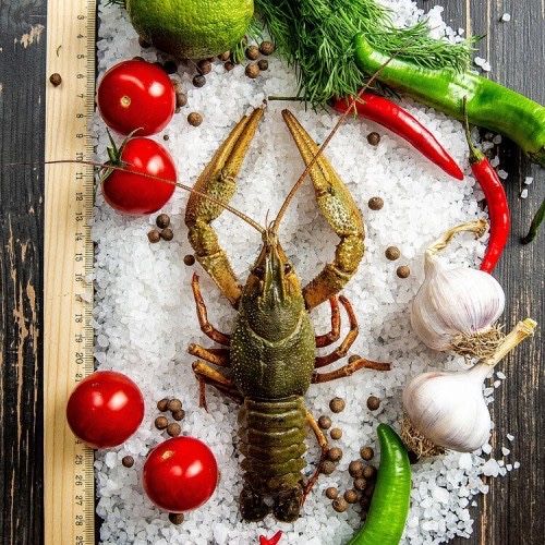 Живые крупные раки, в наличии