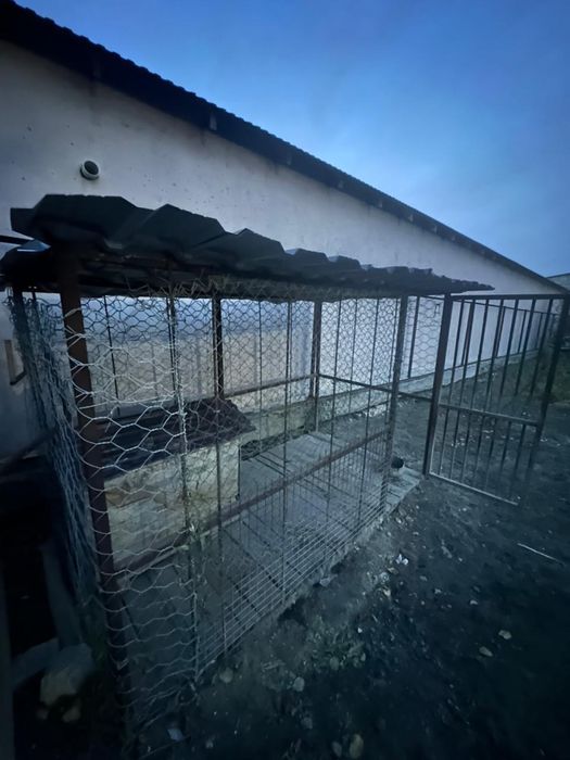 Вольер для собаки