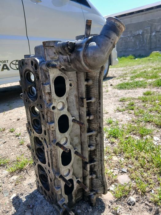 Галовка Нексия-2