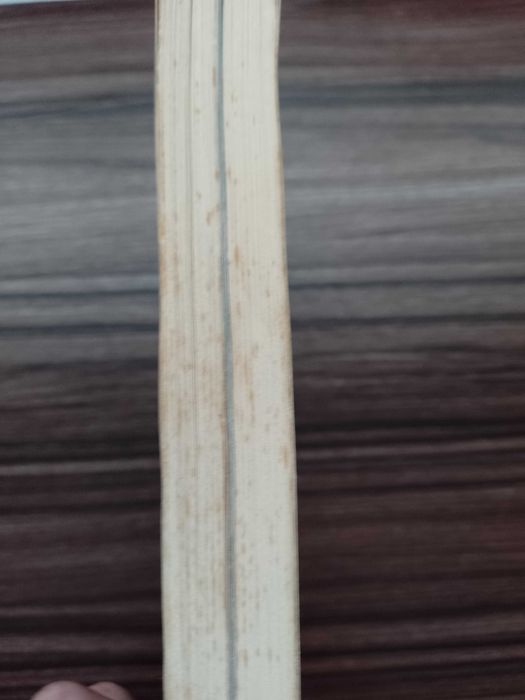 Златото  - А.Аникин