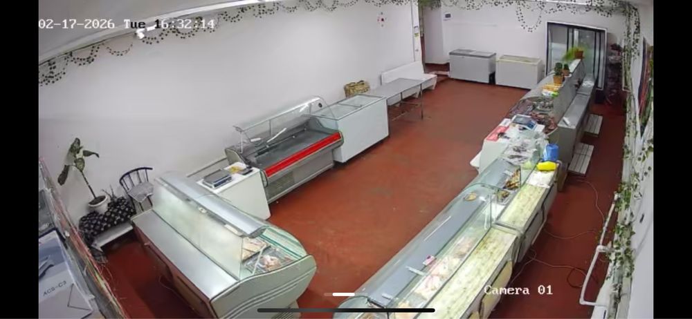 Сдам в аренду 2 витрины морозильник касса