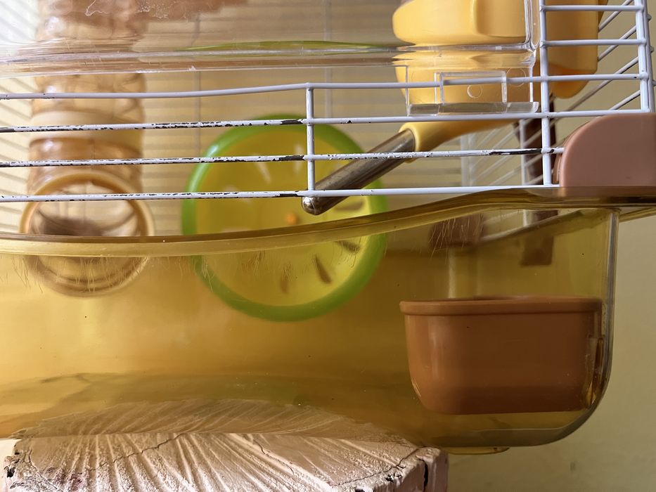 Cusca hamster, stare foarte buna