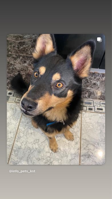 Мальчик ищет дом