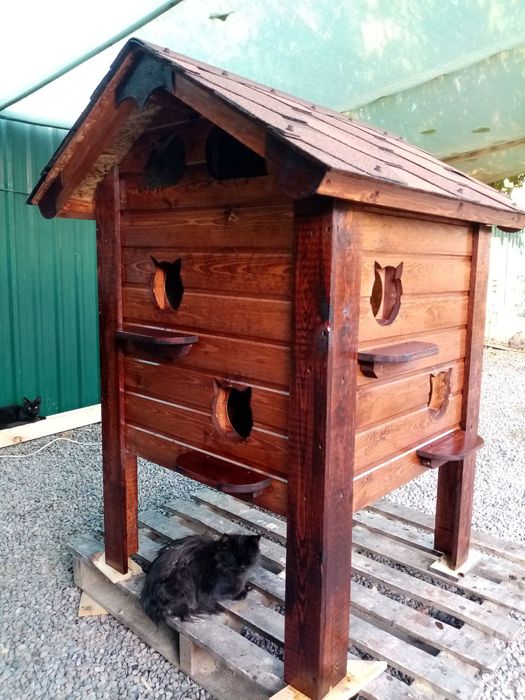 КОТтедж для любимцев.