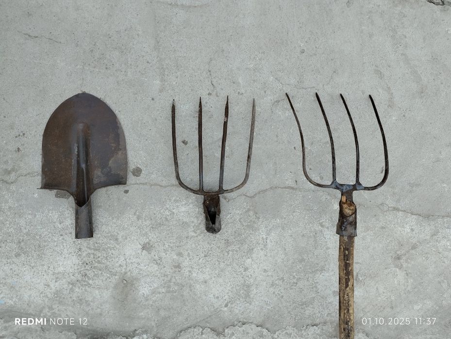 Лопатка, паншахалар