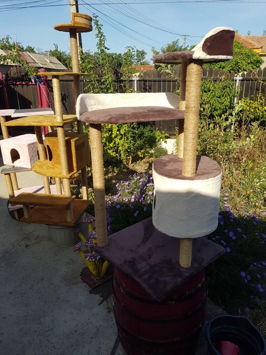 Jucarii pentru pisici