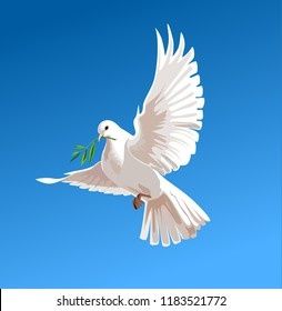 Голуби белые на торжество