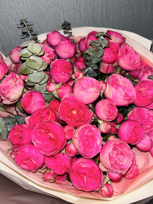 Продам цветы свежие