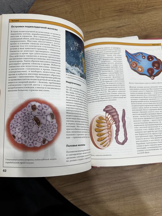 Продается детская энциклопедия