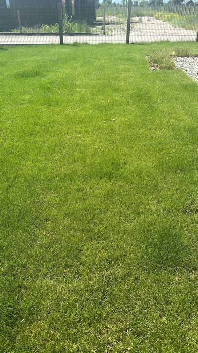 Гозон,укладка посев,