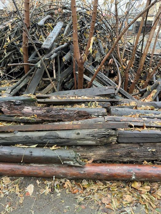 Продам Дрова срочно