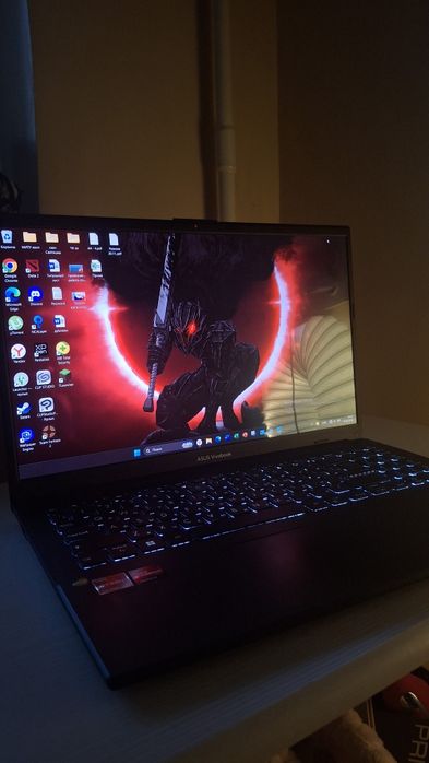 Asus vivobook go 15, 8gb
