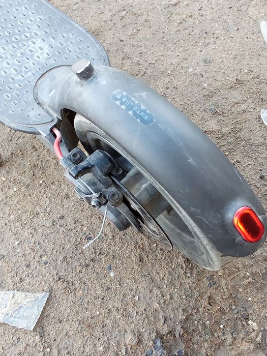 Самакат жағдайы ләлә