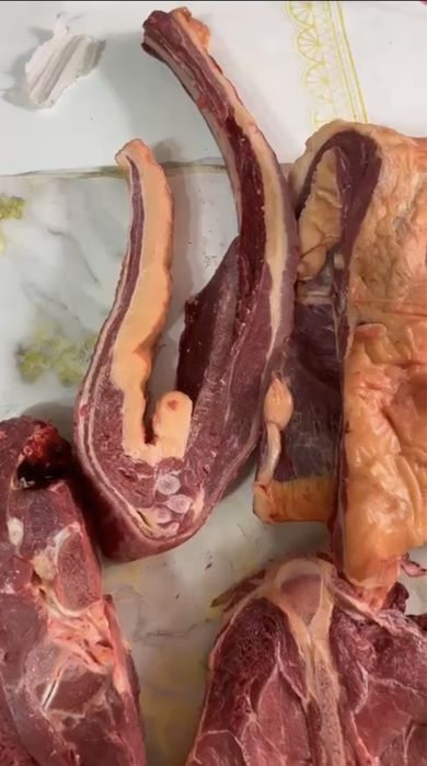 Канина|жылқы еті