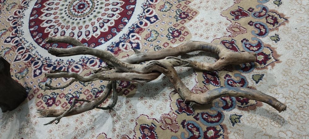 Аквариумный коряга продам