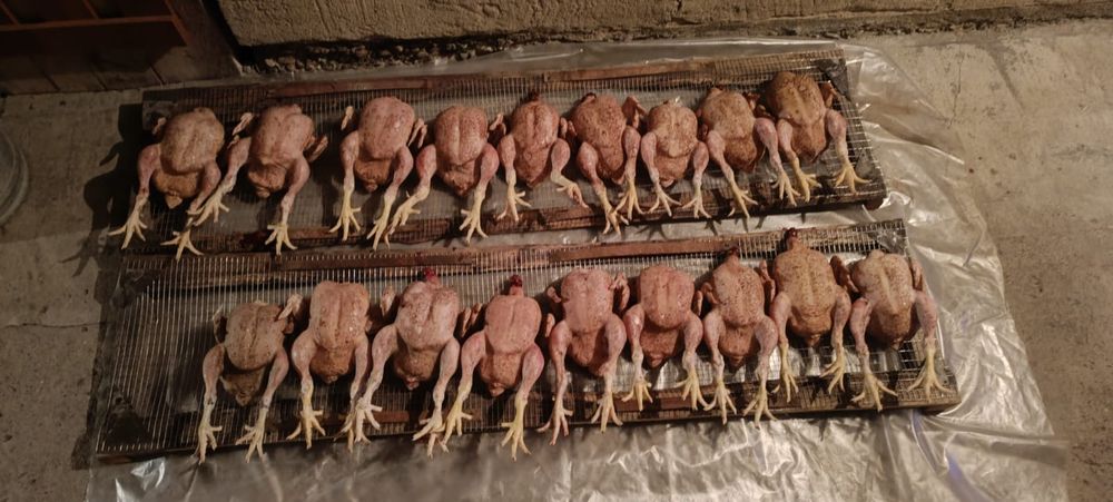 Мясо домашних бройлеров