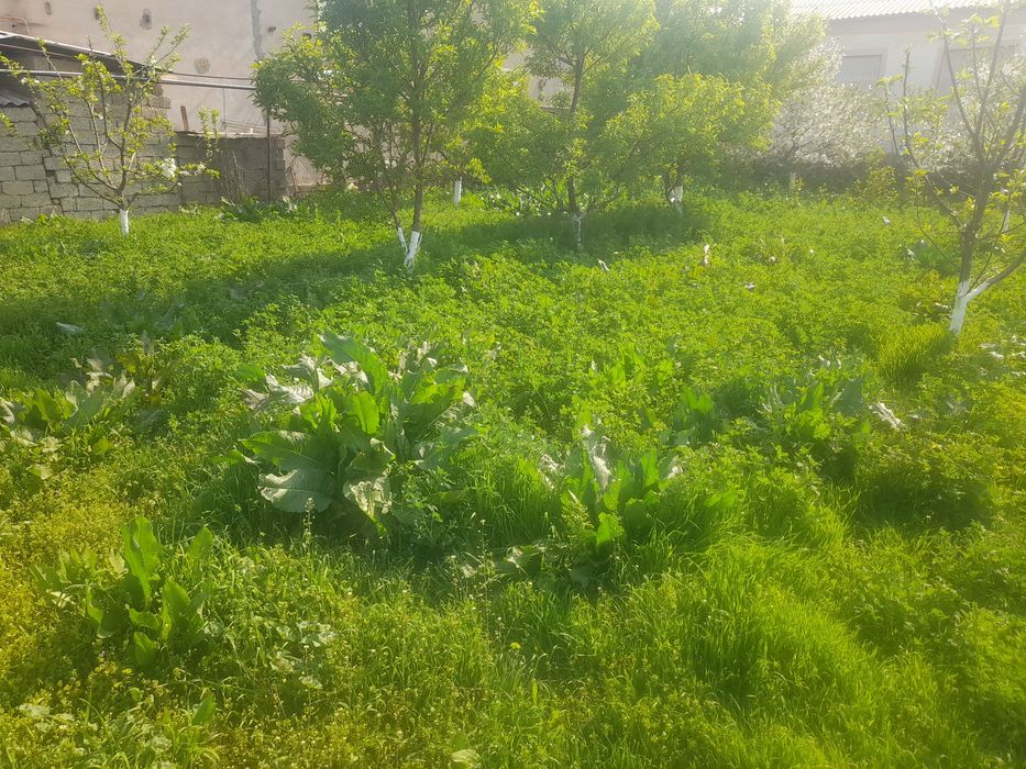 Продаётся земля. 4 сотик