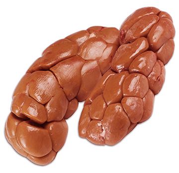 Сахарный кость Сүйек