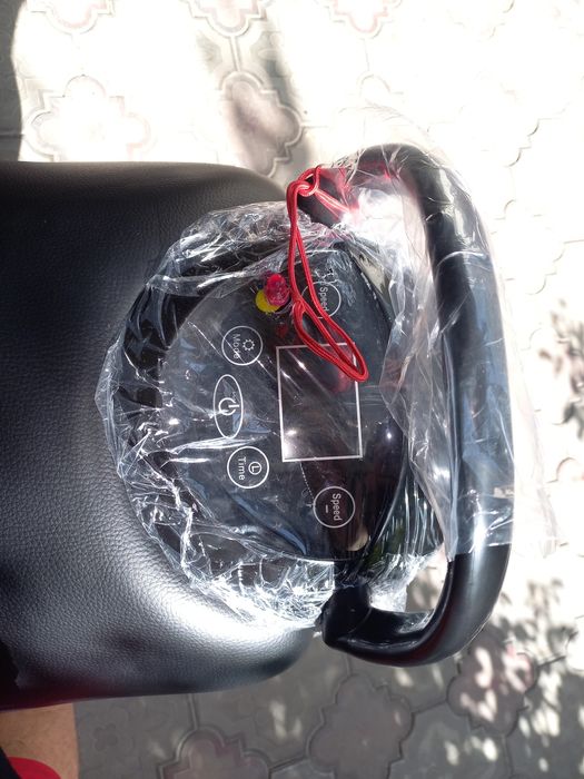 Электроная  лошадь