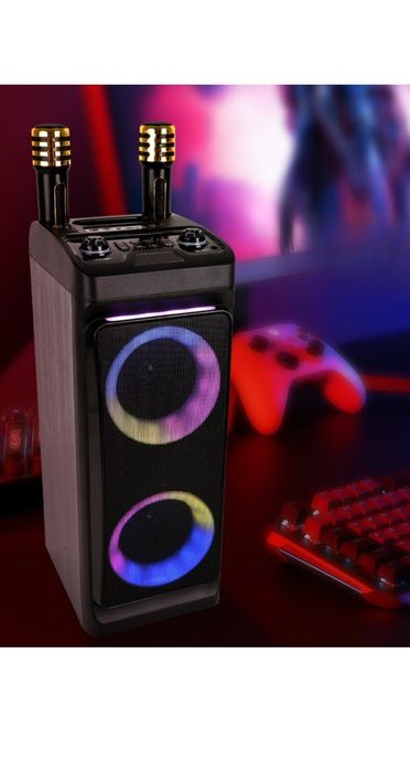 Ikkita karnayli kalonka