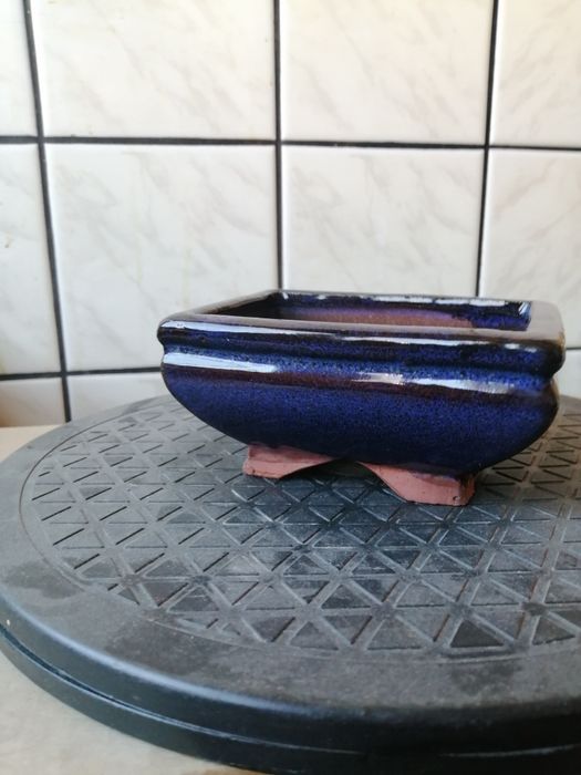 Бонсай саксии-среден и малък размер