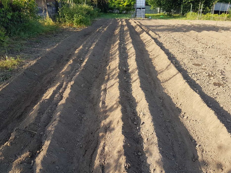 tuns iarba frezat pamantul