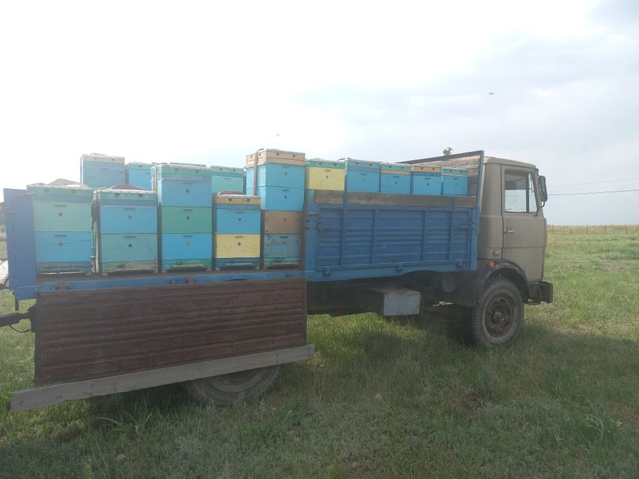 Продам пасеку в комплекте