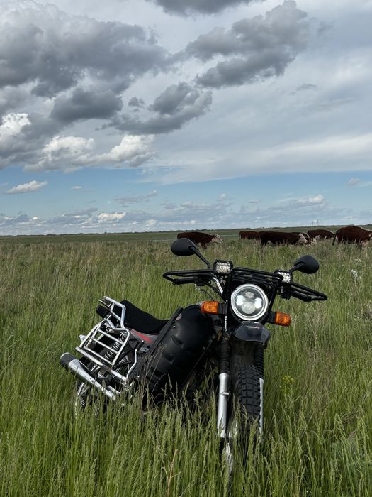 В продаже BamX 200куб x88