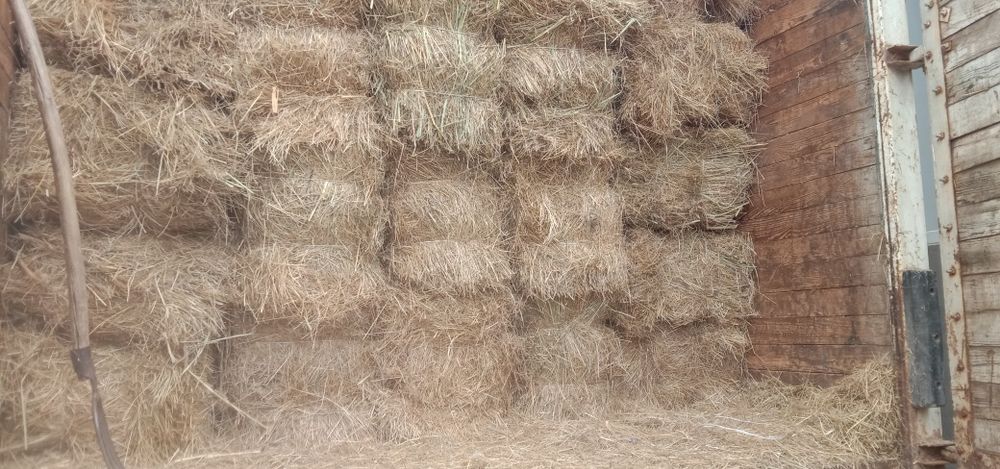 Шоп сатылады багасы 1300 тг