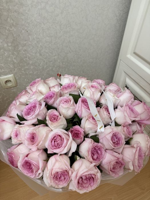 Цветы роза продам свежие