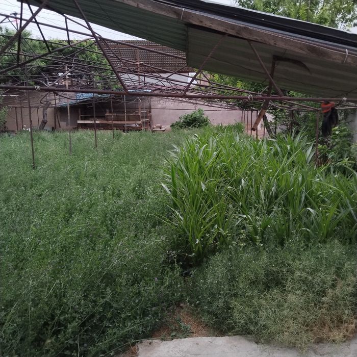 Yer sotiladi 3 sotix