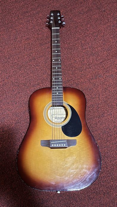 Chitară electro acustica