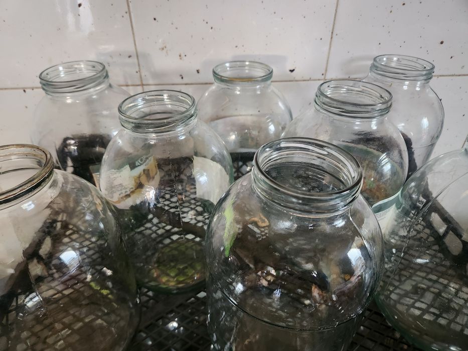 Turli xil tuzlamalar uchun bonka 3l