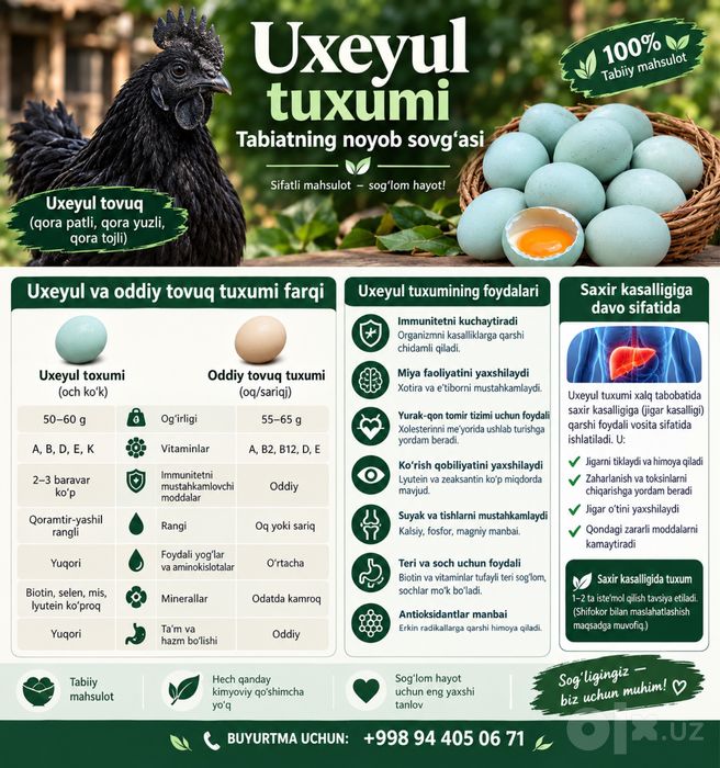 Uxeyul Qora tovuq tuxumi