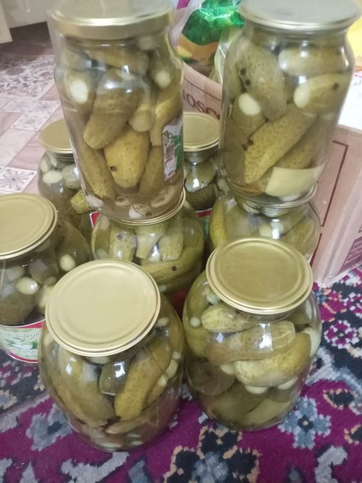 Продам солонину домашнию